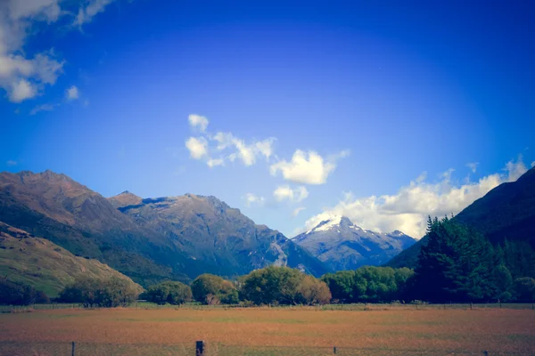 Escenas naturales de Nueva Zelanda — Foto de Stock