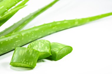 Aloe.
