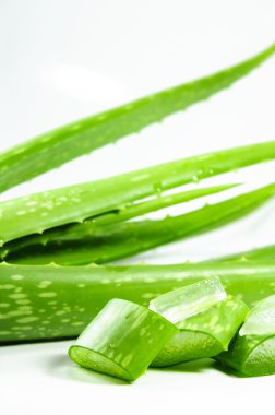 Aloe.
