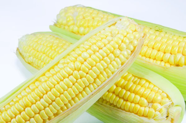 Corn — Stock Photo, Image