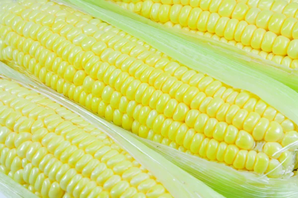 Corn — Stock Photo, Image