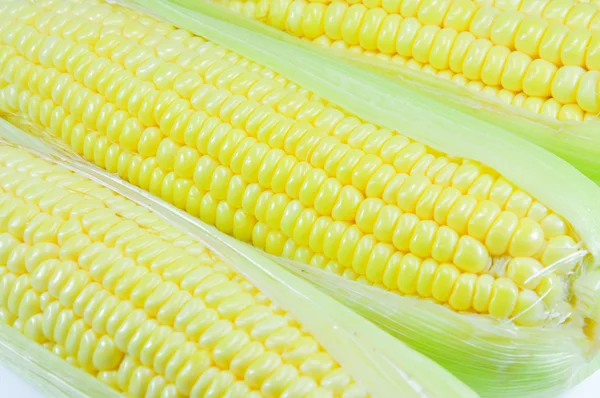 Corn — Stock Photo, Image