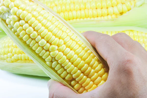 Corn — Stock Photo, Image