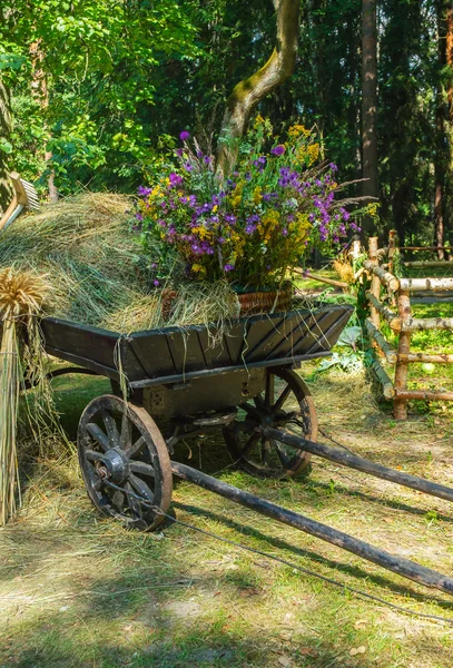 Old rural cart with dry grass and wildflowers — Stock Photo, Image