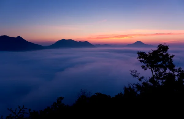 Silhouette view of  bush with beautiful landscape — Stock Photo, Image