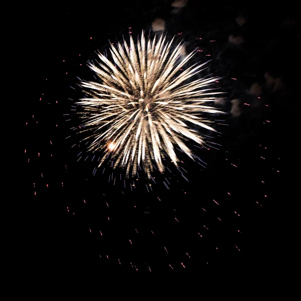 Fireworks light up the sky — Stock Photo, Image