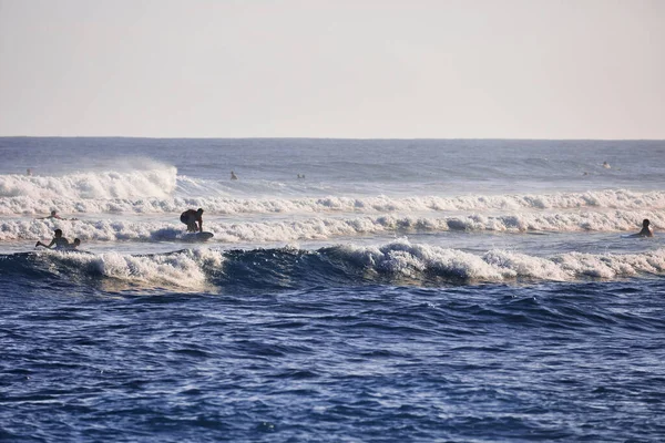 Surfeurs sur la plage. matin sur la plage de l'océan. Activité nautique. Océan Atlantique, République dominicaine. 29.12.2016 — Photo