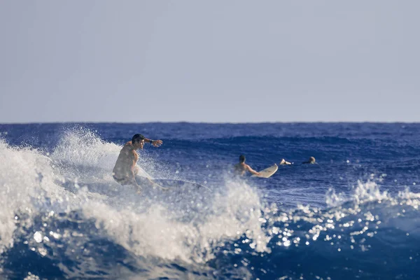 Profesjonalny surfer na fali. Sporty wodne. Ocean Atlantycki Dominikana. 29.12.2016 — Zdjęcie stockowe