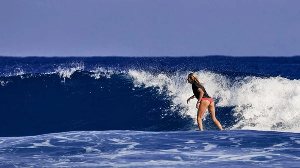Красивая Молодая Женщина Учится Стоять Доске Серфинга Школа Серфинга Водные — стоковое фото