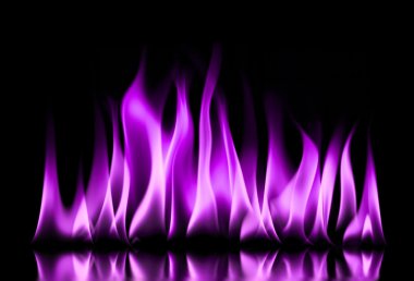 Purple fire flames on a black clipart