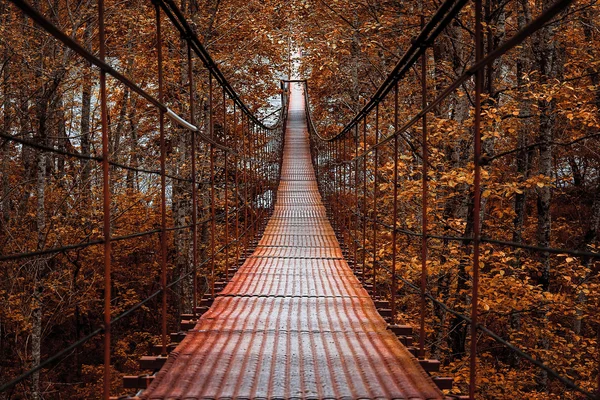 Lange Stahlhängebrücke im Wald — Stockfoto