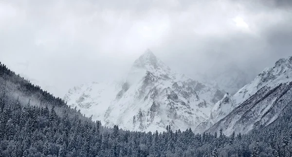 Linda paisagem de inverno — Fotografia de Stock
