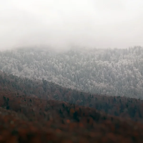 洛矶山脉景观 — 图库照片