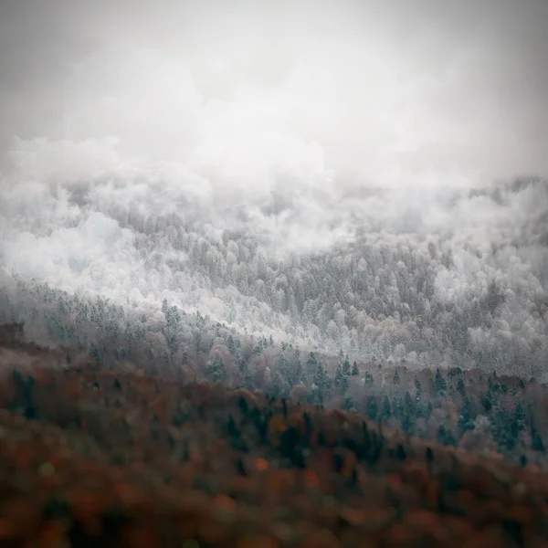 Rocky Mountains Landscape — Stock Photo, Image