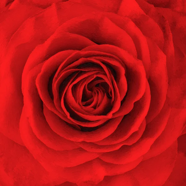 Rosa blomma, oljemålning — Stockfoto