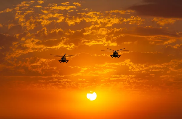Hélicoptères de combat de groupe, Mi-24, Mi-8, coucher de soleil chaud — Photo