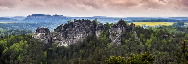 Germania, Svizzera sassone, Parco nazionale Bastei Sassone Svizzera la — Foto Stock