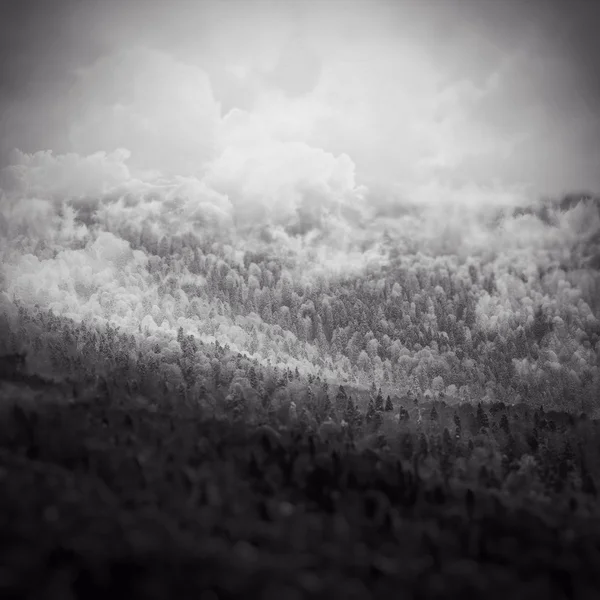 Montagne Rocciose Paesaggio bella natura del Caucaso — Foto Stock