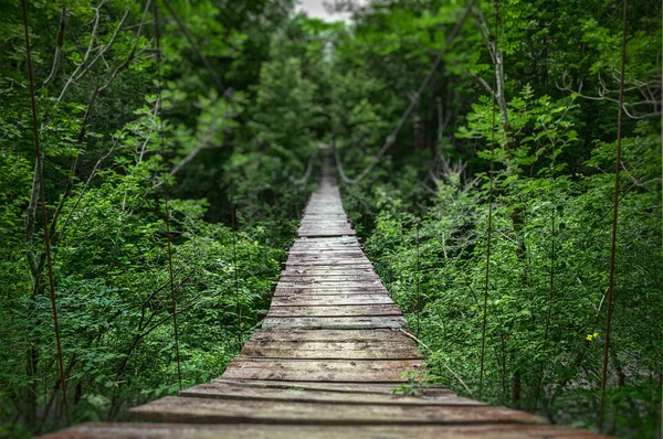 Defokussierte Hängebrücke — Stockfoto