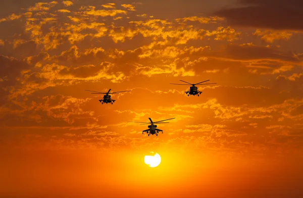 Grupo de helicópteros de combate — Fotografia de Stock