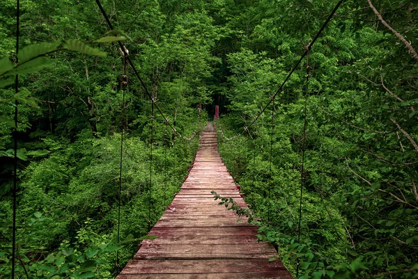 Ponte de suspensão longa — Fotografia de Stock