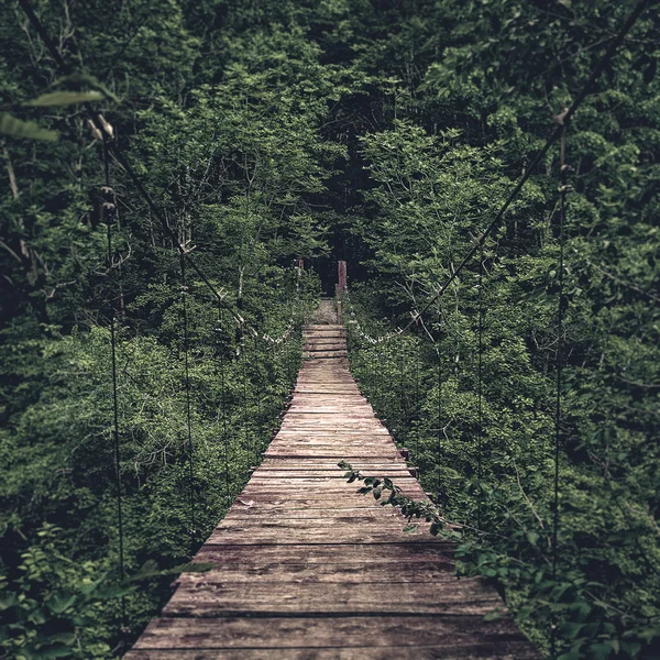 Vista da ponte de suspensão — Fotografia de Stock