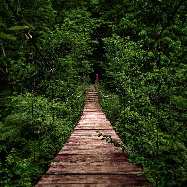 Blick auf Hängebrücke — Stockfoto