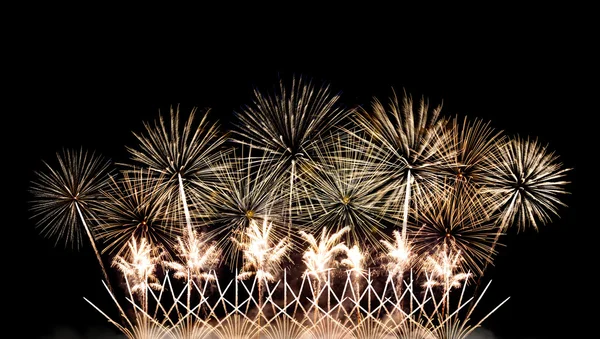 Hermosos fuegos artificiales en el cielo nocturno —  Fotos de Stock