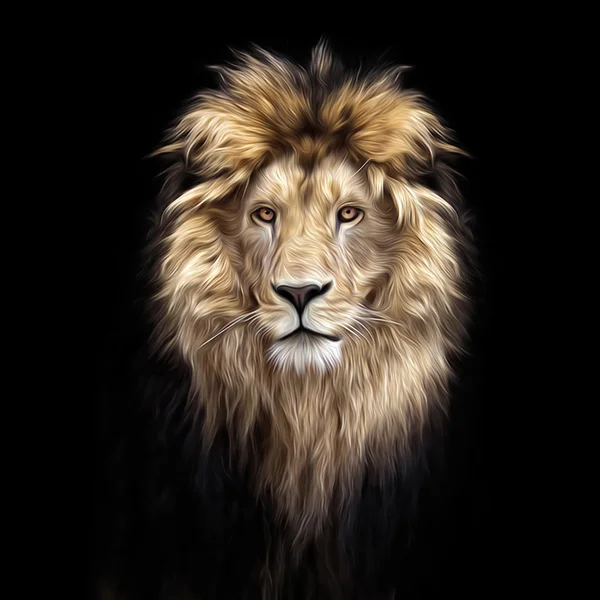 Fier Like Lion Blackground Stock Photo 1225925974