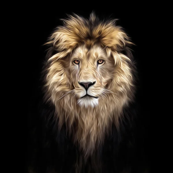 Portrait of a Beautiful lion, lion in the dark, oil paints, soft — Stock Photo, Image