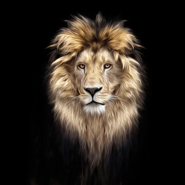 Portrét krásné lva — Stockfoto