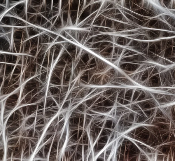 Axonen en dendrites, abstracte lijnen — Stockfoto