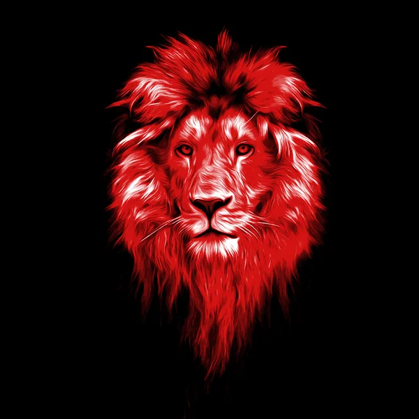 Portrait of Beautiful lion — Stock Photo, Image