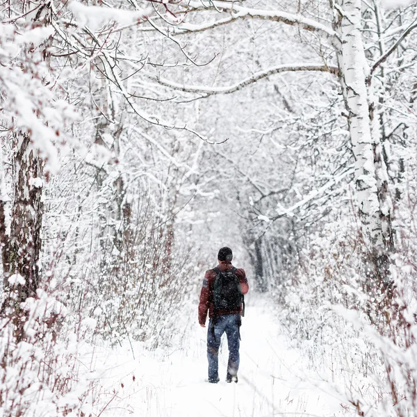 Hombre en el bosque de invierno —  Fotos de Stock