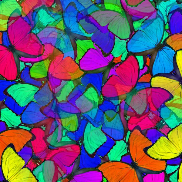 ブルーのエキゾチックなカラフルな背景モフルフォ蝶の優雅さと空想的な質感 — ストック写真