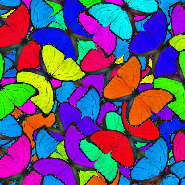 Fasinante Fundo Colorido Feito Borboletas Morpho Azuis Graça Textura Extravagante — Fotografia de Stock