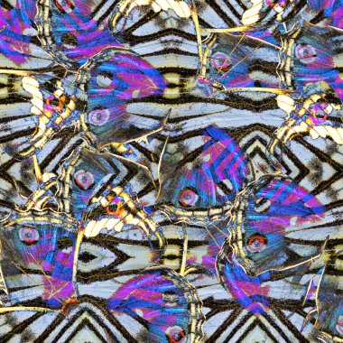 The fascinated background made from Blue Pansy Butterfly wing skin texture, exotic patterns