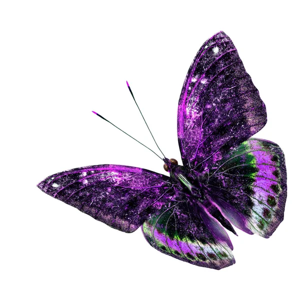 Красивый Фиолетовый Зеленый Летающие Бабочки Изолированы Белом Фоне — стоковое фото