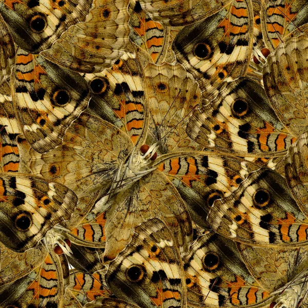 Brown Background Texture Made Blue Pansy Butterflies Great Patterns Design — Stok Foto