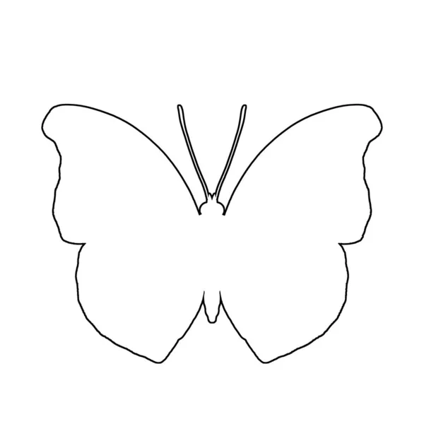 美丽蝴蝶的黑色轮廓 有白色背景上的画线 艺术草图 — 图库照片
