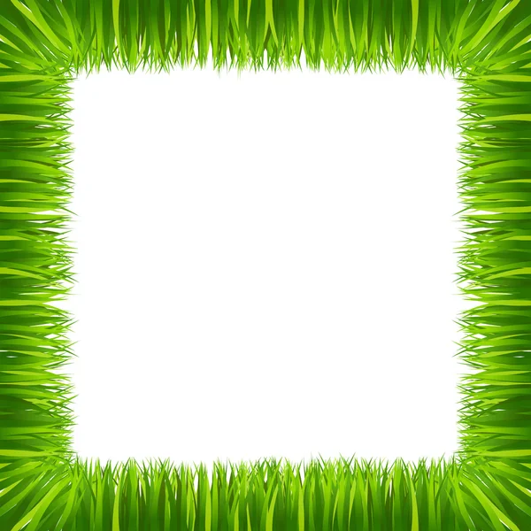 Рамка кордону зелена трава ізольована — стоковий вектор