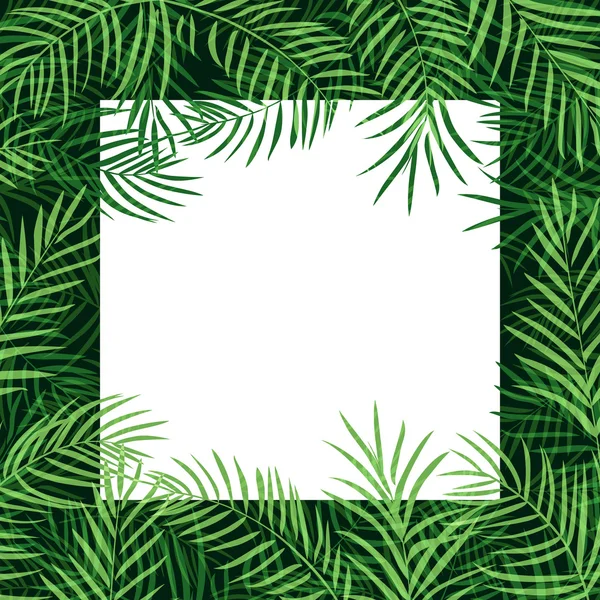 Marco de borde de hojas de palma — Archivo Imágenes Vectoriales