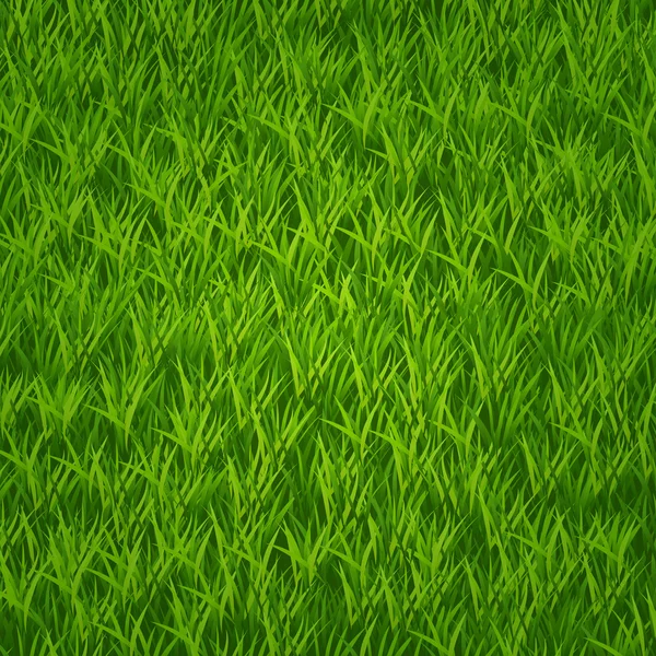 Green grass field — Stock Vector