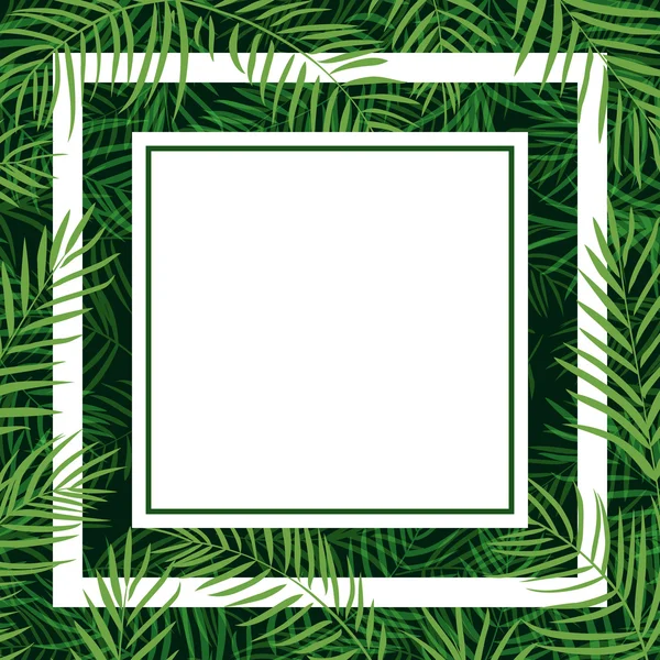 Quadro tropical de folhas de palma — Vetor de Stock