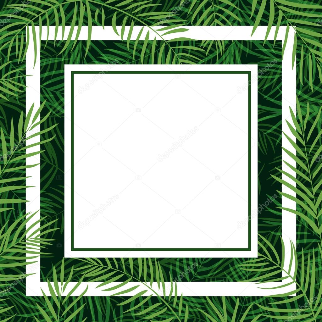 Tropical palm leaf frame