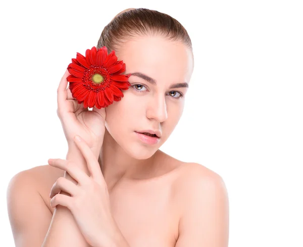 Hermosa mujer con gerberas rojas. Aislado sobre fondo blanco —  Fotos de Stock