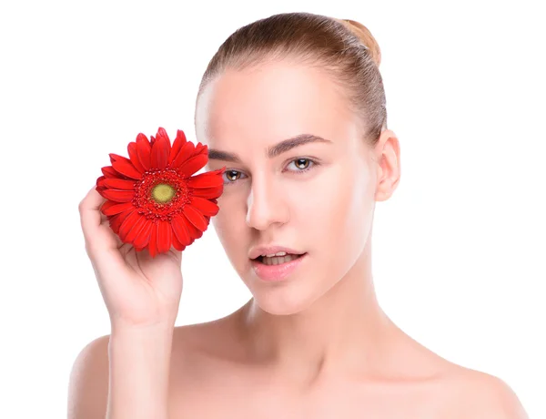 Mujer posando con gerberas rojas. Aislado sobre fondo blanco —  Fotos de Stock