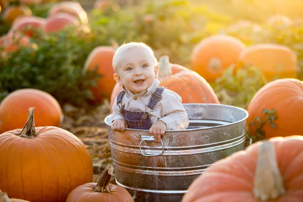 Little boy pumpkin — Stock Photo, Image