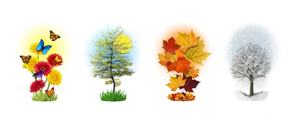 Four Seasons — Stock Photo, Image