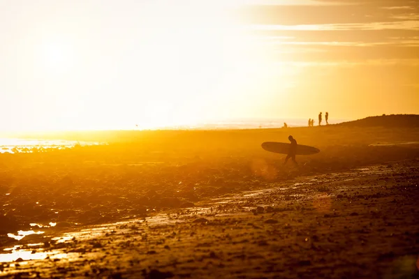 Sunset surfer — Stock Photo, Image